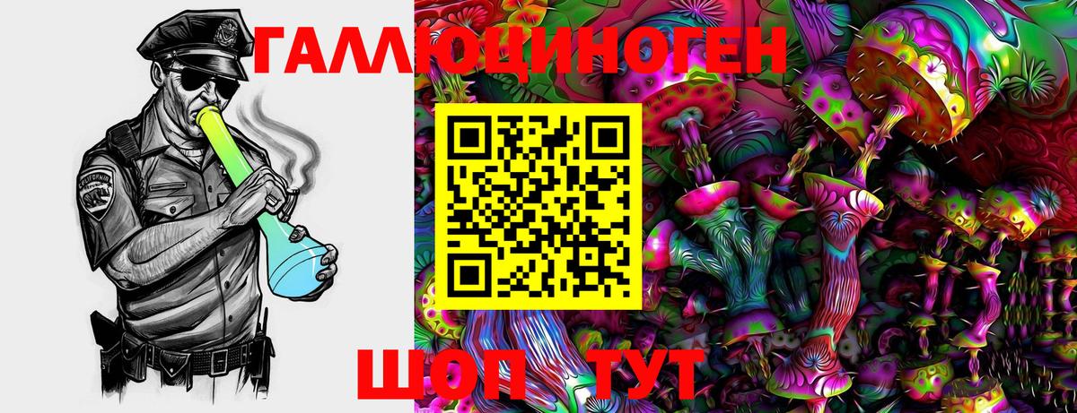 Галлюциногенные грибы Psilocybe Новозыбков