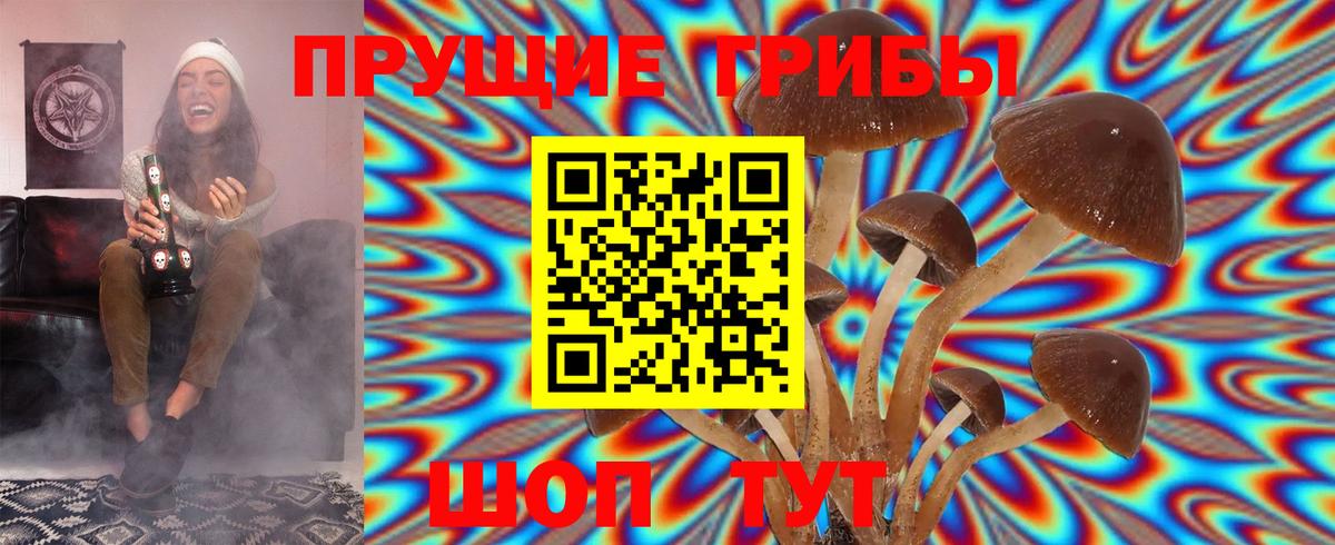 Псилоцибиновые грибы мухоморы  Псилоцибиновые грибы Magic Shrooms  Вход с VPN  Новозыбков 