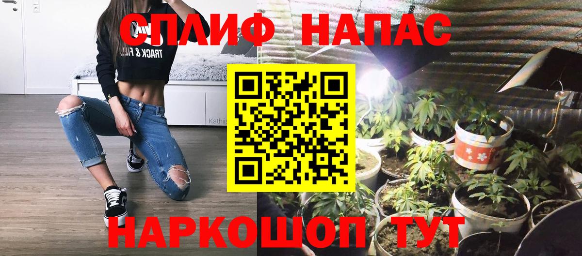 Марихуана тримм  Марихуана план  Новозыбков  Вход с VPN 